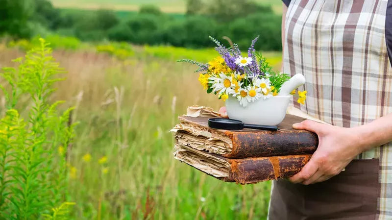 Plantele – farmacia vie a Pământului