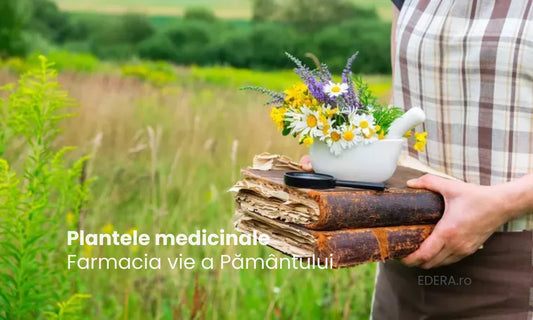 Plantele medicinale – Farmacia vie a Pământului