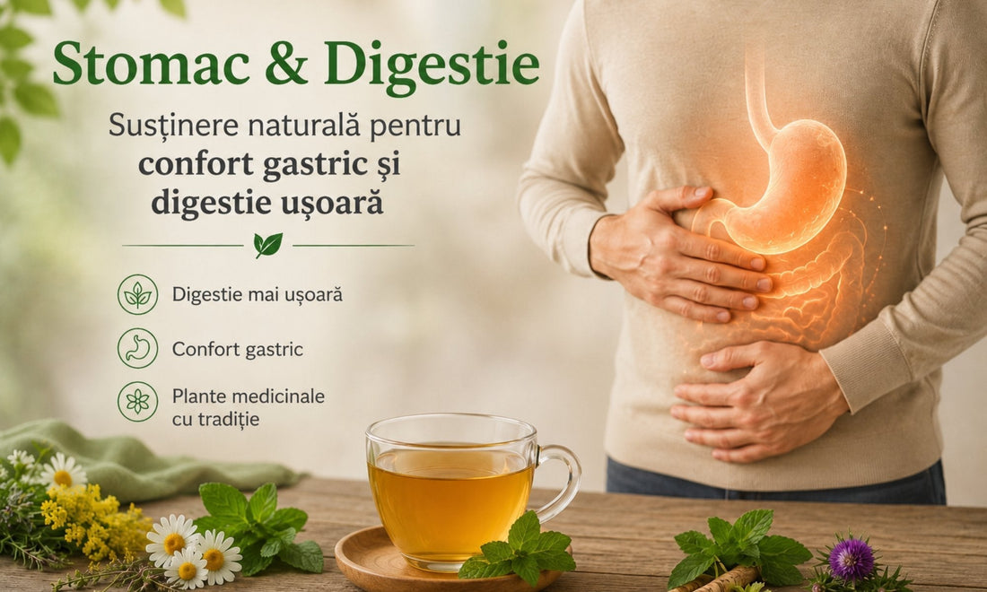 Stomac & Digestie: cauze, semnale și susținere naturală cu plante medicinale