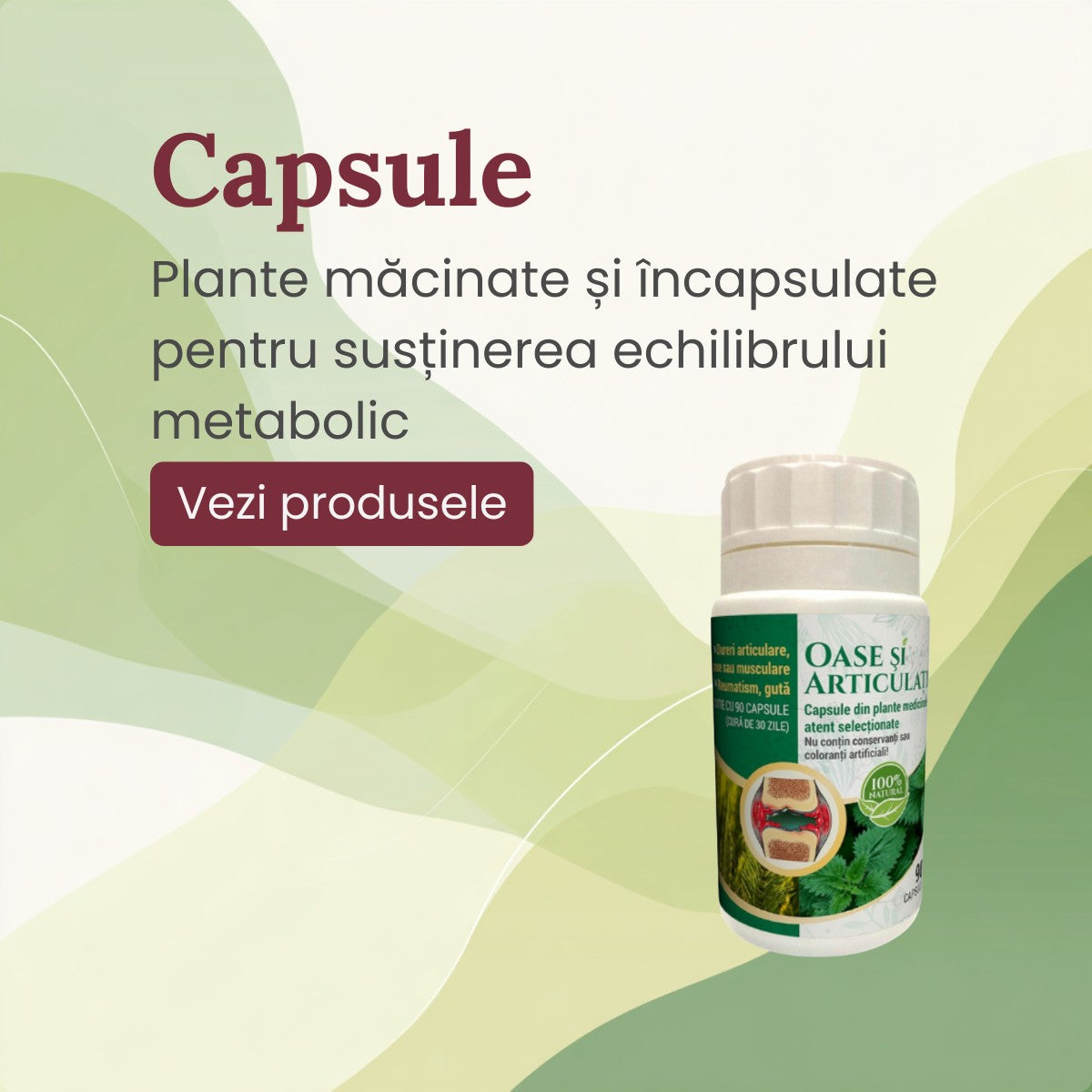 Capsule