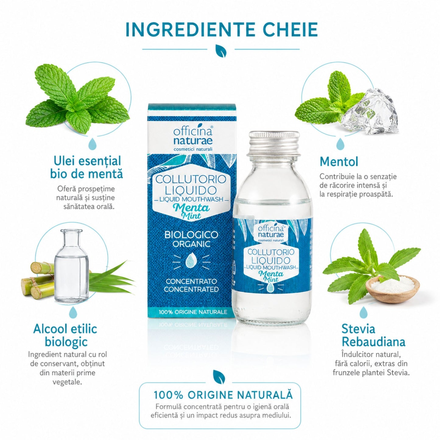 pă de gură naturală cu ulei esențial de mentă, mentol, alcool etilic biologic și stevia