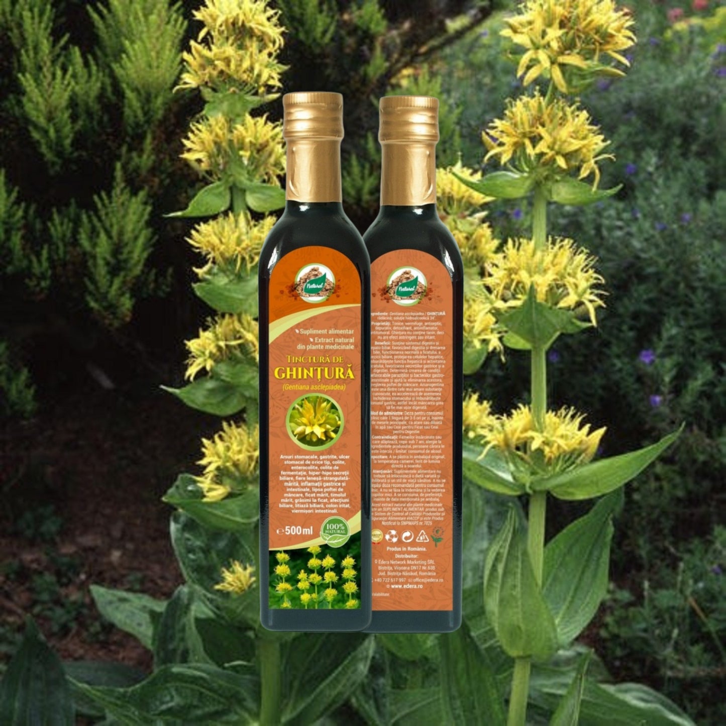 Tinctură de Ghințură – 500 ml